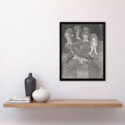 Artery8 Theo van Hoytema Framed Wall Art Print Four Owls & Two Kestrels in Grey - Size: A4 - thumbnail 2