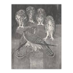 Artery8 Theo van Hoytema Framed Wall Art Print Four Owls & Two Kestrels in Grey - Size: A4 - thumbnail 3