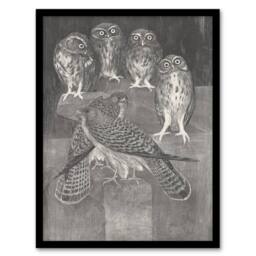 Artery8 Theo van Hoytema Framed Wall Art Print Four Owls & Two Kestrels in Grey - Size: A4 - thumbnail 1