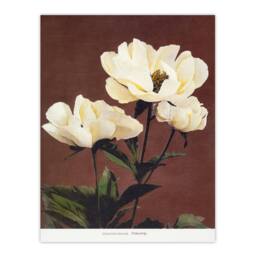 Artery8 Ogawa Kazumasa Framed Wall Art Print White Herbaceous Peony Flowers in Red - Size: A4 - thumbnail 3