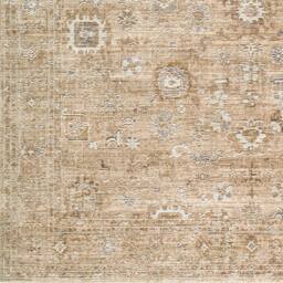 Livabliss Becki Owens Penny Vintage Beige Tan Traditional Vintage Boho Fringe Rug - Size: 160 cm x 215 cm - thumbnail 8