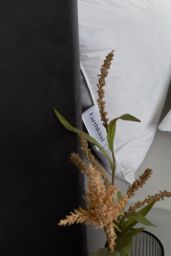 EarthKind Feather & Down Medium Support Pillow 1 Pack in White - thumbnail 3
