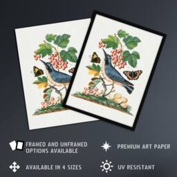 "Artery8 Warbler Bird & Red Admiral Butterfly Bolton Framed Wall Art Print in White - Size: W12"" x H16""" - thumbnail 2