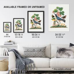 "Artery8 Warbler Bird & Red Admiral Butterfly Bolton Framed Wall Art Print in White - Size: W12"" x H16""" - thumbnail 3