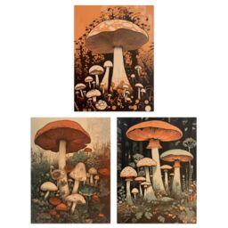 Artery8 Wall Art Print Set of 3 Botanical Fungi Mushroom Paintings Earthy Flora Fauna Nature Living Room Poster s Pack in Orange - Size: A4 - thumbnail 1