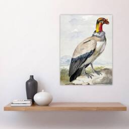 "Artery8 King Vulture Bird Vintage Watercolour Schouman Wall Art Poster Print - Size: W18"" x H24""" - thumbnail 4