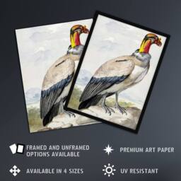 "Artery8 King Vulture Bird Vintage Watercolour Schouman Wall Art Poster Print - Size: W18"" x H24""" - thumbnail 2