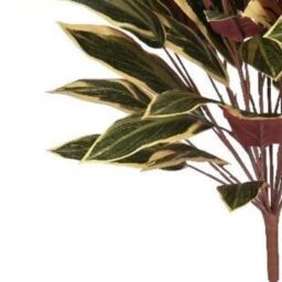 Leaf 90cm Fire Retardant Caladium Bush with white edge x15w/49Lvs in Green - thumbnail 2