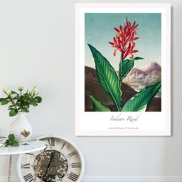 ARTZE Vintage Floral Exhibition - Indian Reed Framed Print SIZE: A4 with White Frame in Red - thumbnail 2