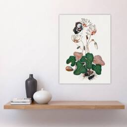 "Artery8 Cyclamen Butterfly Beetles & Shell Bolton Wall Art Poster Print in White - Size: W18"" x H24""" - thumbnail 4