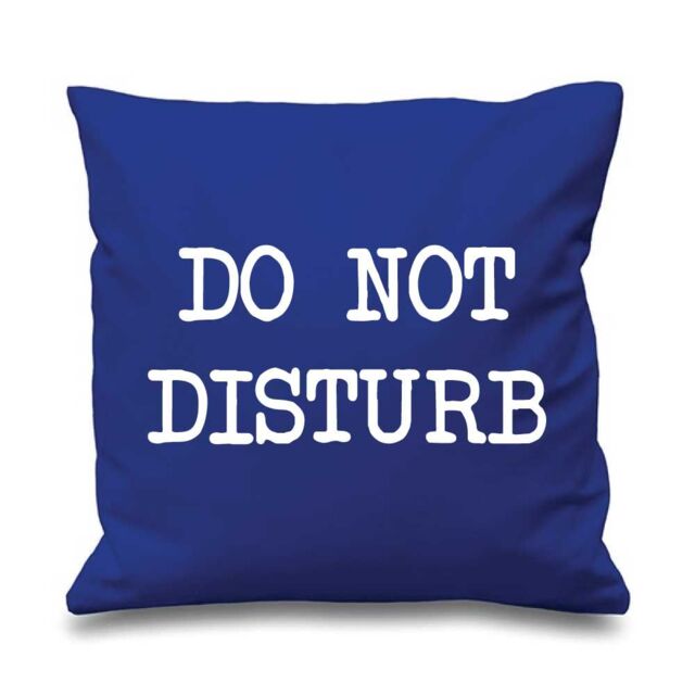 "60 SECOND MAKEOVER Blue Cushion Cover Do Not Disturb 16"" x 16"" Mum Friend Gift Decorative Cushion Home Mothers Day - Size: 40 cm x 40 cm"