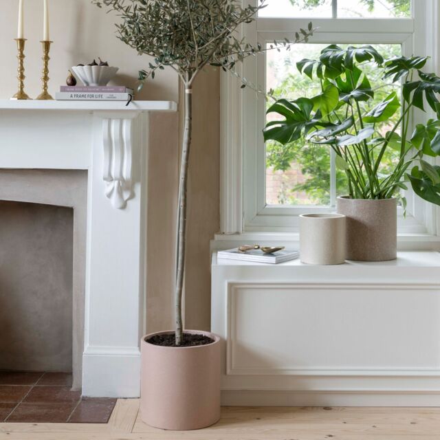 Ivyline Valetta Blush Terrazzo Planter Set of 3 Premium Glaze in Light Pink - image 1