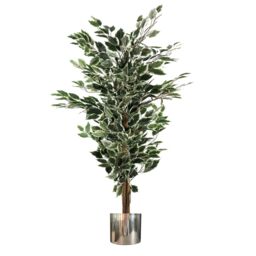 Leaf 130cm Artificial Variegated White/Green Ficus Tree Silver Planter in Green