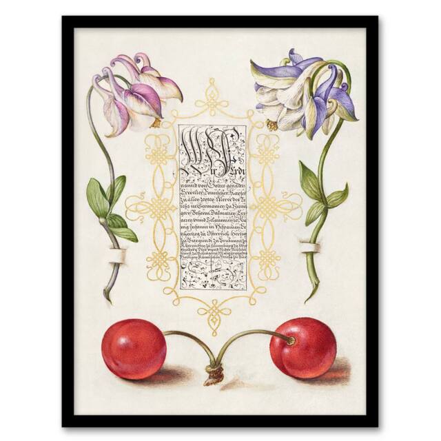 Artery8 Model Book of Calligraphy Framed Wall Art Columbines & Sweet Cherries in White - Size: A4 - image 1