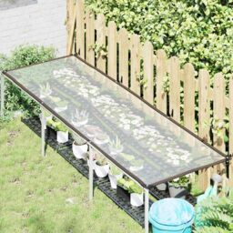 Berkfield Home Plant Cover¬†with Eyelets 1x3 m Polyethylene - thumbnail 2