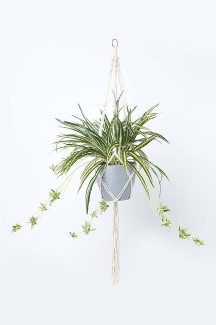 Homescapes Artificial Hanging Basket Spider Plant, 95 cm in Green - image 1