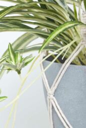 Homescapes Artificial Hanging Basket Spider Plant, 95 cm in Green - thumbnail 4