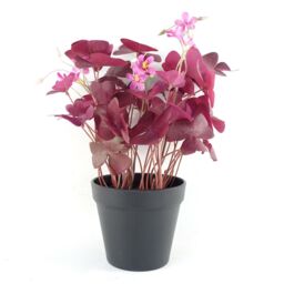 Leaf Artificial 30cm Plant Realistic Purple Shamrock Pink Flowers Potted