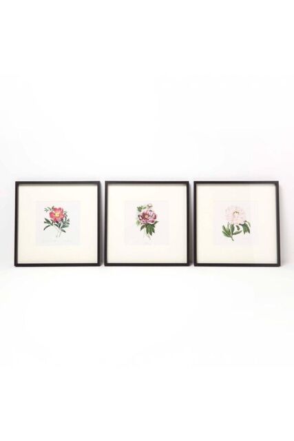 Homescapes Wall Decoration Set of 3 Frames with Picture, Peonies - image 1
