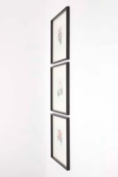 Homescapes Wall Decoration Set of 3 Frames with Picture, Peonies - thumbnail 5