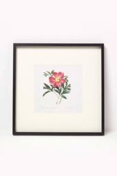 Homescapes Wall Decoration Set of 3 Frames with Picture, Peonies - thumbnail 4