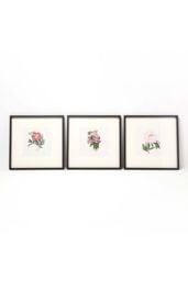 Homescapes Wall Decoration Set of 3 Frames with Picture, Peonies - thumbnail 1