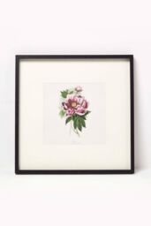 Homescapes Wall Decoration Set of 3 Frames with Picture, Peonies - thumbnail 2