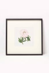 Homescapes Wall Decoration Set of 3 Frames with Picture, Peonies - thumbnail 3
