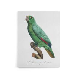 "Artery8 Yellow Crowned Amazon Parrot Levaillant Canvas Wall Art Print in White - Size: W12"" x H16""" - thumbnail 1