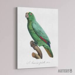 "Artery8 Yellow Crowned Amazon Parrot Levaillant Canvas Wall Art Print in White - Size: W12"" x H16""" - thumbnail 2
