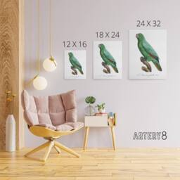 "Artery8 Yellow Crowned Amazon Parrot Levaillant Canvas Wall Art Print in White - Size: W12"" x H16""" - thumbnail 4