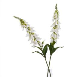 Lemon Pavilion Furniture and Decor The Natural Garden Collection Foxglove Single Stem Flower, Height 11cm in White - thumbnail 3