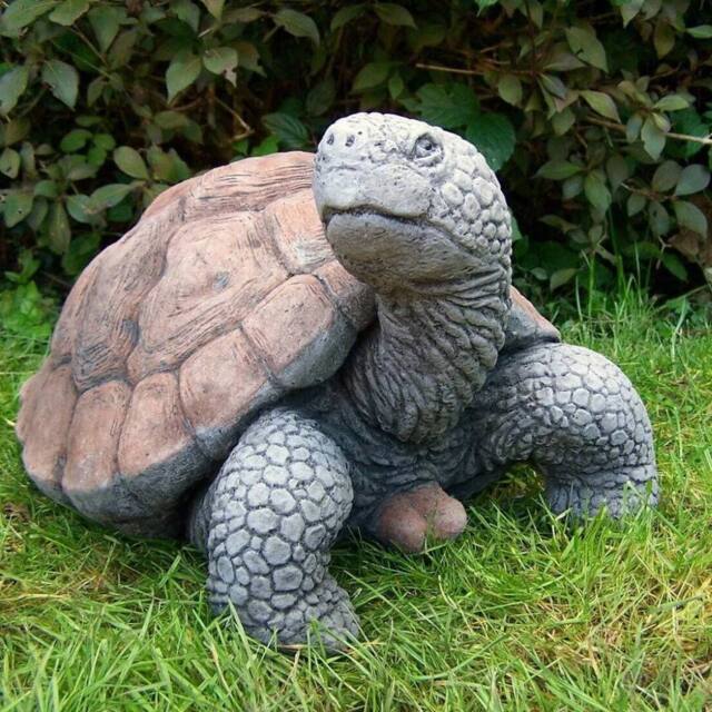 Havendro 30cm Concrete Tortoise Garden Ornament Statue in Grey - image 1