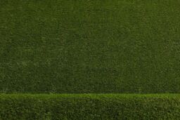 RugsX Artificial Grass Forestland Rug in Green - Size: 100 cm x 150 cm - thumbnail 2