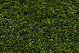 RugsX Artificial Grass Forestland Rug in Green - Size: 100 cm x 150 cm - thumbnail 4