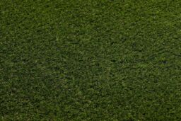 RugsX Artificial Grass Forestland Rug in Green - Size: 100 cm x 150 cm - thumbnail 3