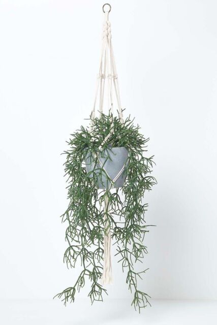 Homescapes Artificial Hanging Basket Green Rhipsalis Plant, 116 cm - image 1
