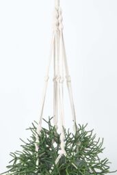 Homescapes Artificial Hanging Basket Green Rhipsalis Plant, 116 cm - thumbnail 5