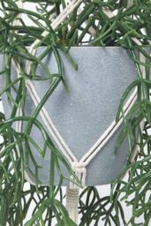 Homescapes Artificial Hanging Basket Green Rhipsalis Plant, 116 cm - thumbnail 3
