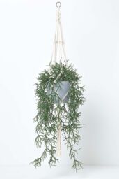 Homescapes Artificial Hanging Basket Green Rhipsalis Plant, 116 cm - thumbnail 1