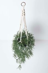 Homescapes Artificial Hanging Basket Green Rhipsalis Plant, 116 cm - thumbnail 2
