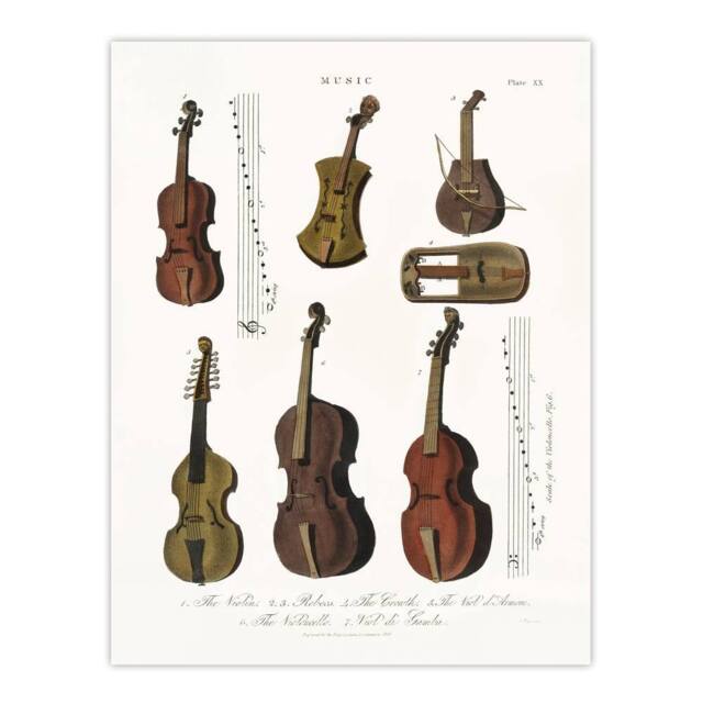 "Artery8 Violin Viola Cello Encyclopedia Londinensis Wall Art Print Poster in White - Size: W18"" x H24""" - image 1