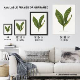Artery8 AF Lydon Benjamin Fawcett Lily of the Valley Leaf Framed Art Print in White - Size: A4 - thumbnail 3