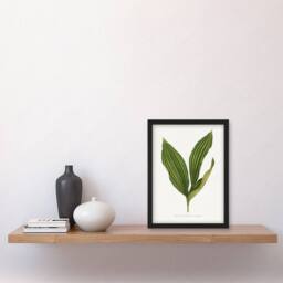 Artery8 AF Lydon Benjamin Fawcett Lily of the Valley Leaf Framed Art Print in White - Size: A4 - thumbnail 4