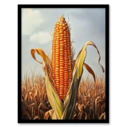 Artery8 Corn With Open Husk Field in Summer Painting Framed Art Print in Orange - Size: A4 - thumbnail 1