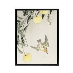 "Artery8 Cuckoo In Early Summer Rain Framed Canvas Wall Art Print Ohara Koson in Yellow - Size: W12"" x H16""" - thumbnail 1