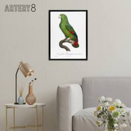 "Artery8 The Black Billed Amazon Parrot Levaillant Framed Canvas Wall Art Print in White - Size: W12"" x H16""" - thumbnail 3