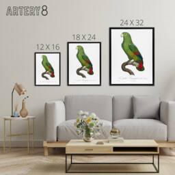 "Artery8 The Black Billed Amazon Parrot Levaillant Framed Canvas Wall Art Print in White - Size: W12"" x H16""" - thumbnail 4