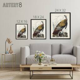 "Artery8 Birds of America Wild Turkey Audubon Nature Black Framed Canvas Art in White - Size: W24"" x H32""" - thumbnail 4