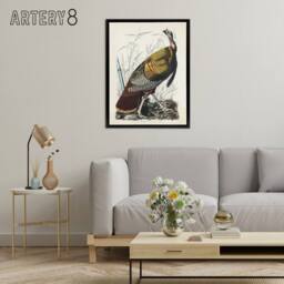 "Artery8 Birds of America Wild Turkey Audubon Nature Black Framed Canvas Art in White - Size: W24"" x H32""" - thumbnail 3